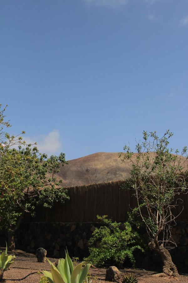 Villa Amrita La Oliva Luaran gambar